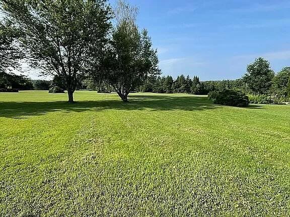 321 Carson Road Littleton, ME 04730 - Photo 14 of 67 lawn8