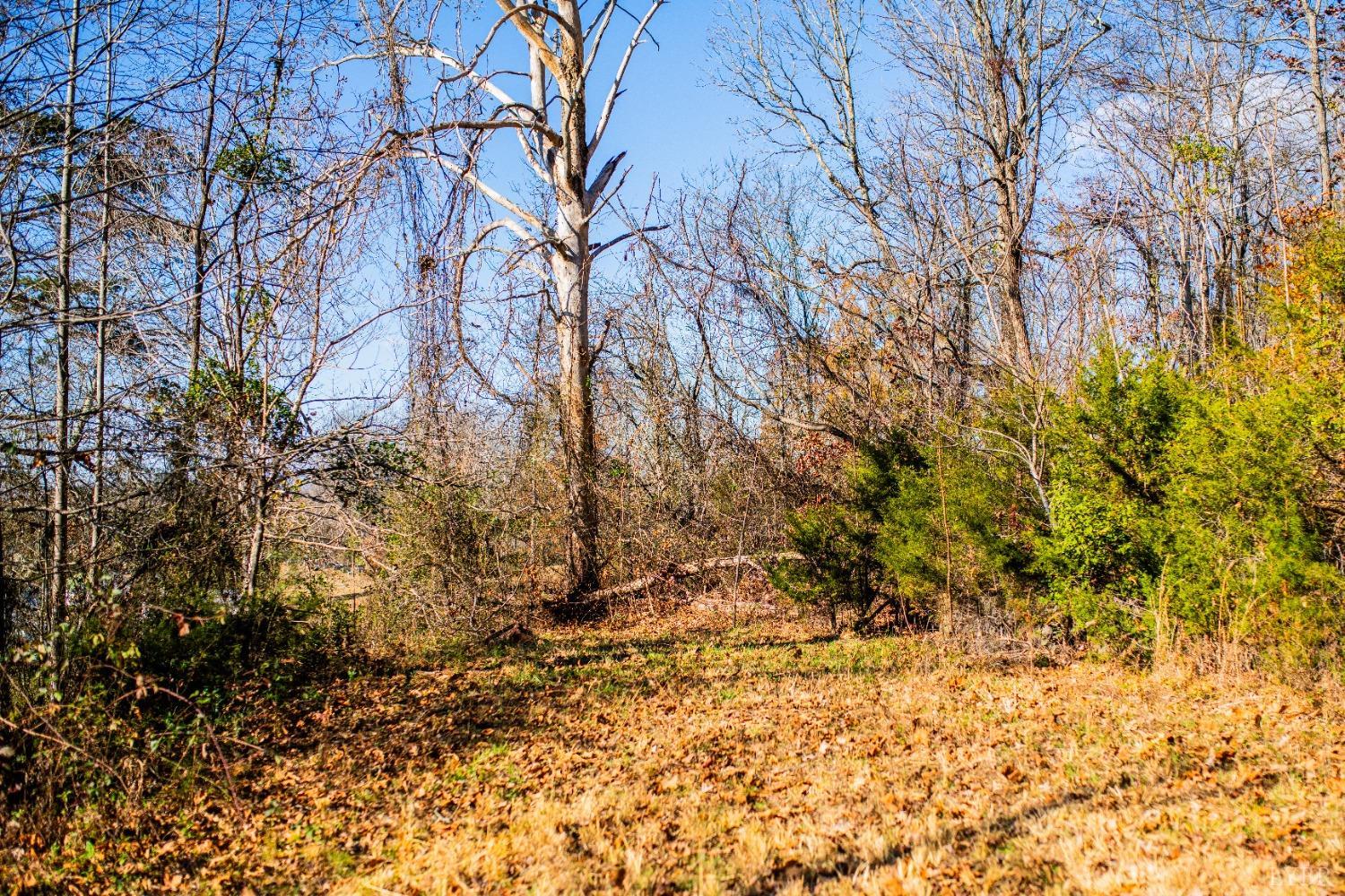 0 James River Road Shipman, VA 22971 - Photo 6 of 9 a backyard of a house with large trees