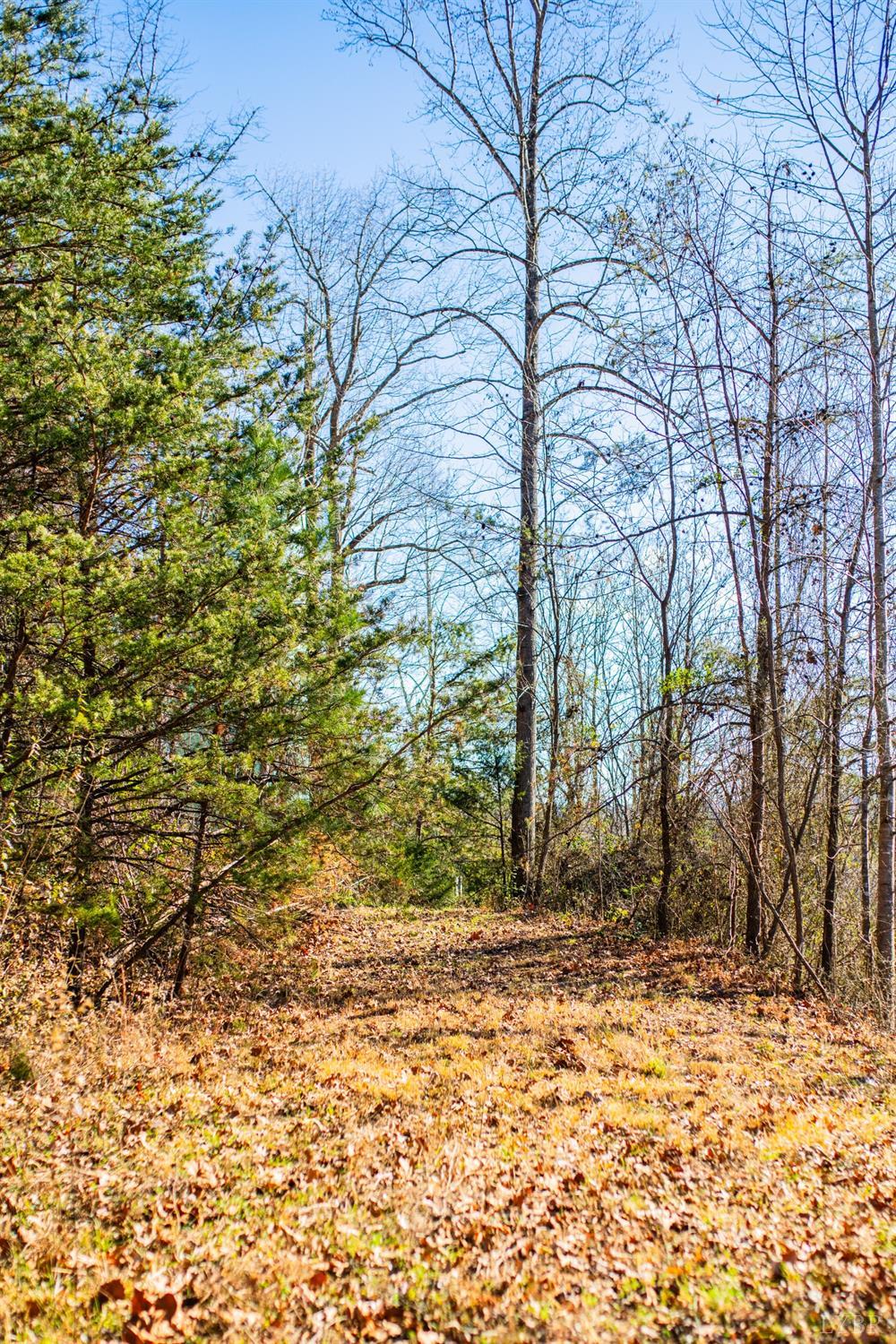 0 James River Road Shipman, VA 22971 - Photo 8 of 9 a view of a yard with trees
