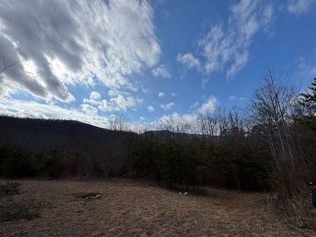 Tbd Brammer Spur Road Woolwine, VA 24185 - Photo 19 of 19 Gallery Image 19