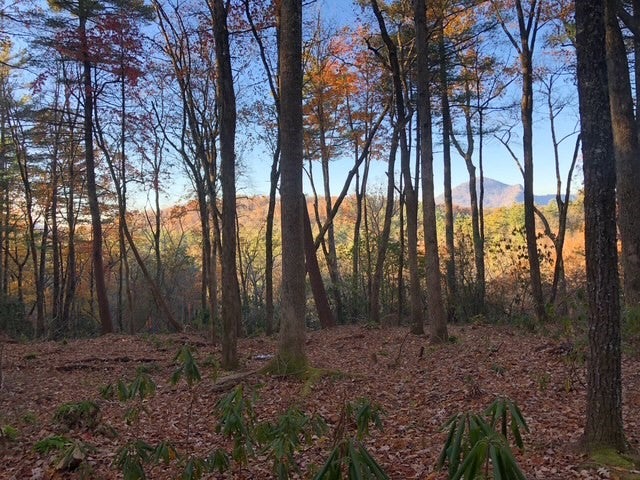 111 Uplands Road Cashiers, NC 28717 - Photo 1 of 5 Gallery Image 1