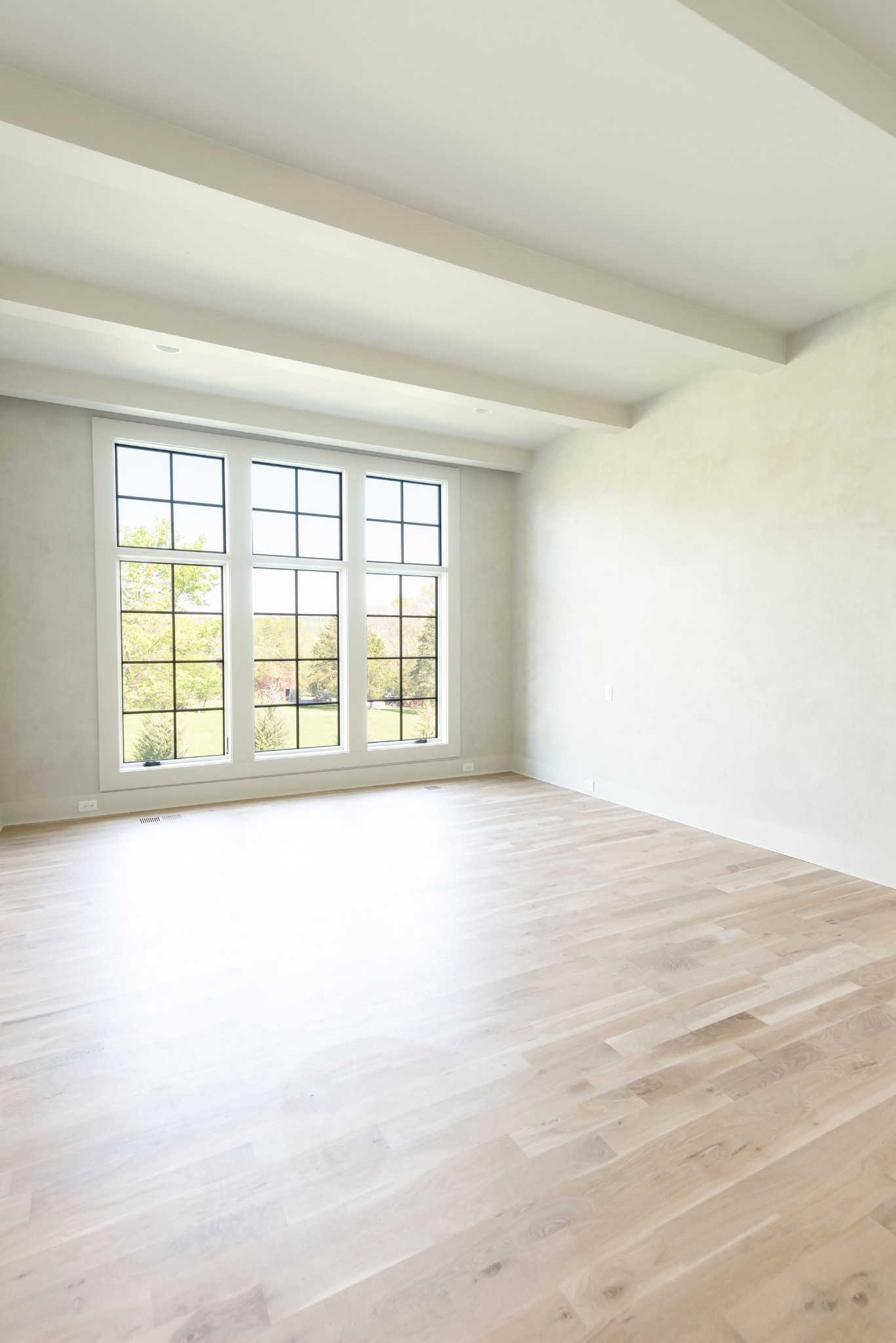 8182 Heirloom Boulevard College Grove, TN 37046 - Photo 17 of 34 an empty room with a window