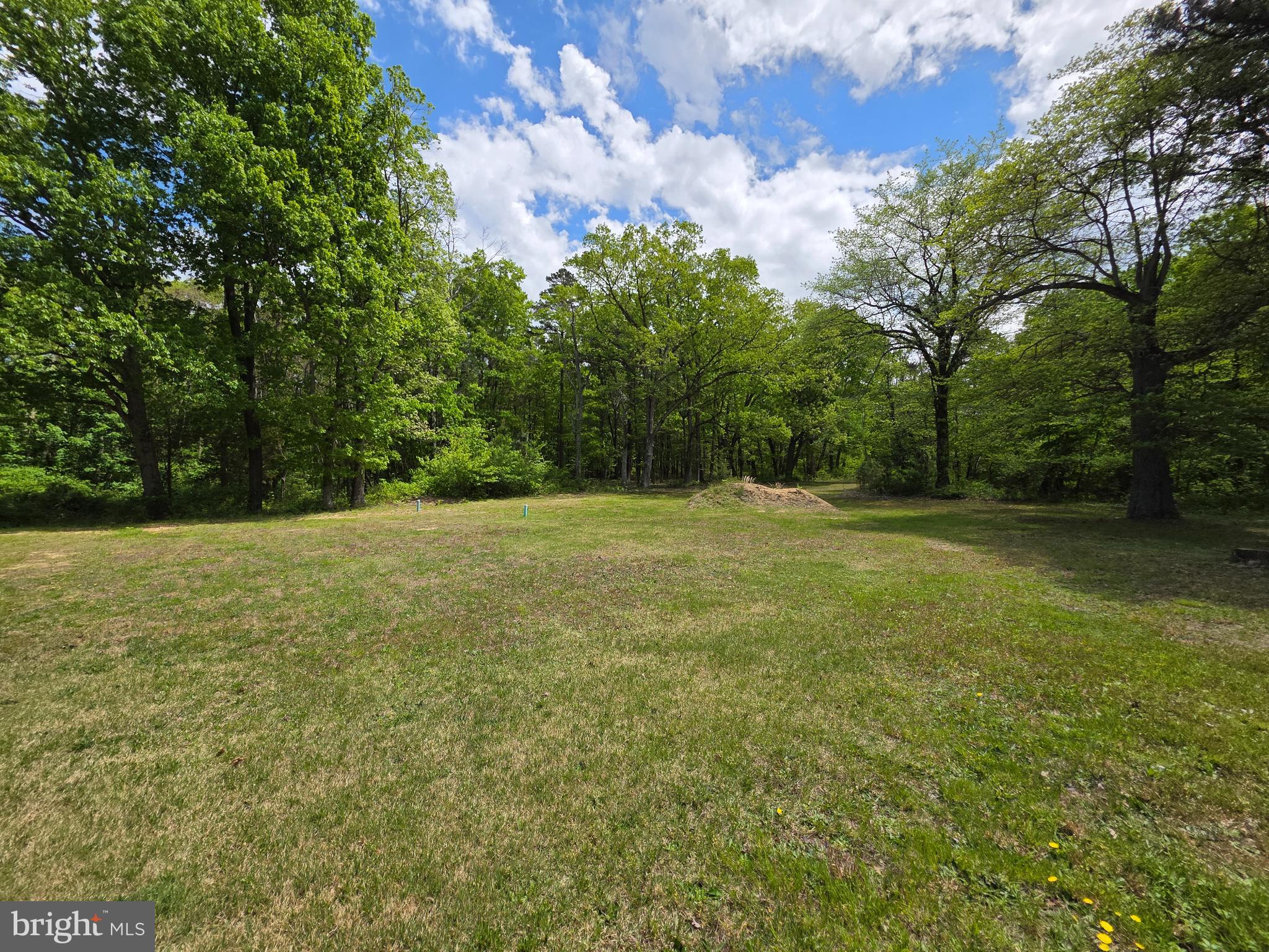 18 West Factory Road Berlin, NJ 08009 - Photo 5 of 8 a view of a field with trees in the background