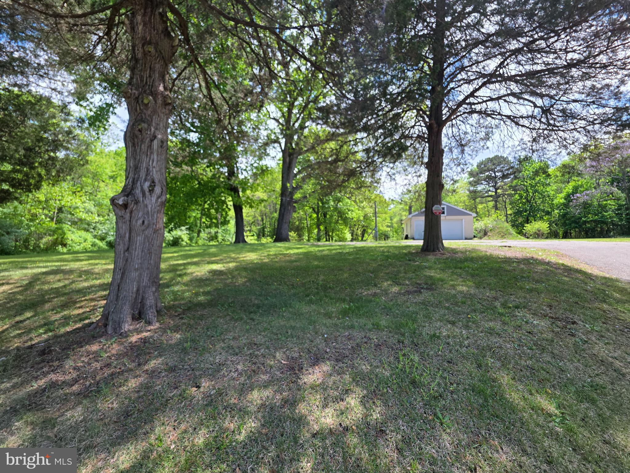 18 West Factory Road Berlin, NJ 08009 - Photo 8 of 8 a view of a trees with a yard