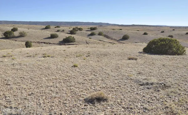 $50,000 | 986 Concho Highway, Concho, AZ 85924