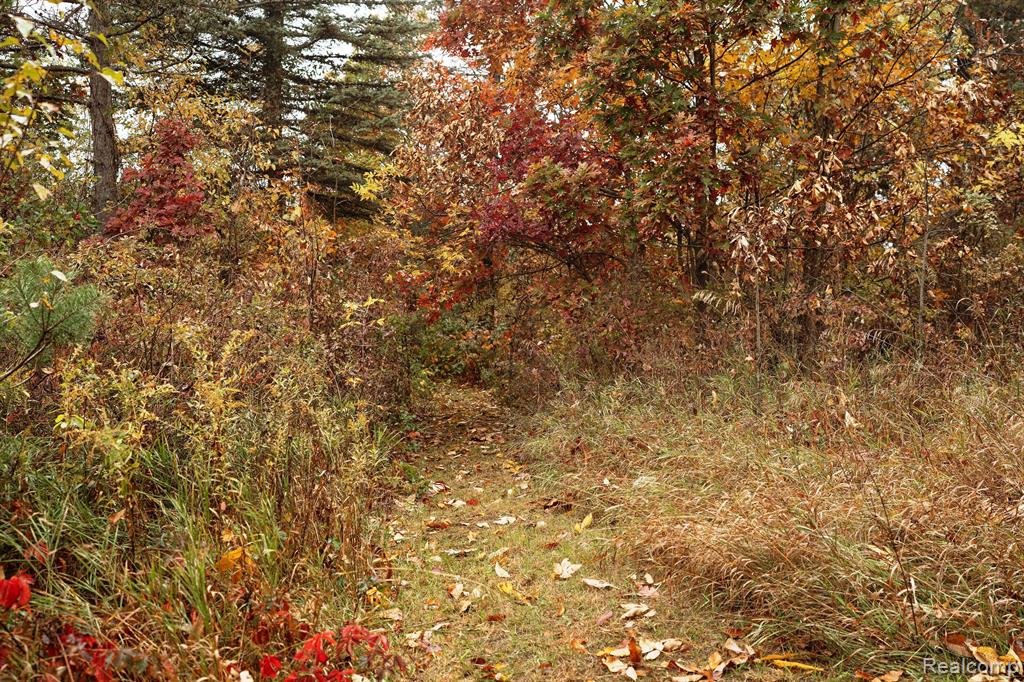 11348 Lake Road Otisville, MI 48463 - Photo 55 of 58 Gallery Image 55