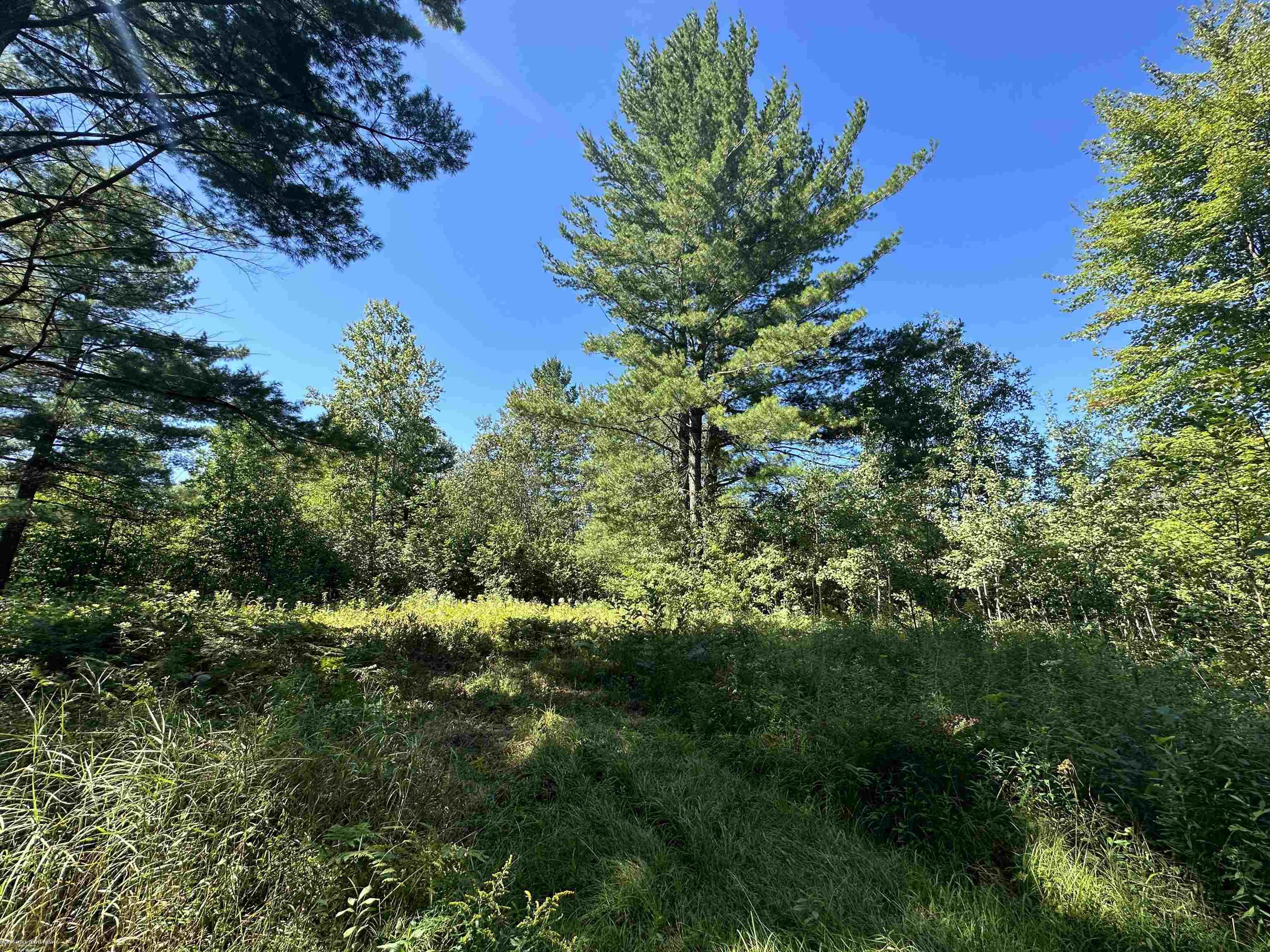 0 Long Lake Road Hale, MI 48739 - Photo 7 of 20