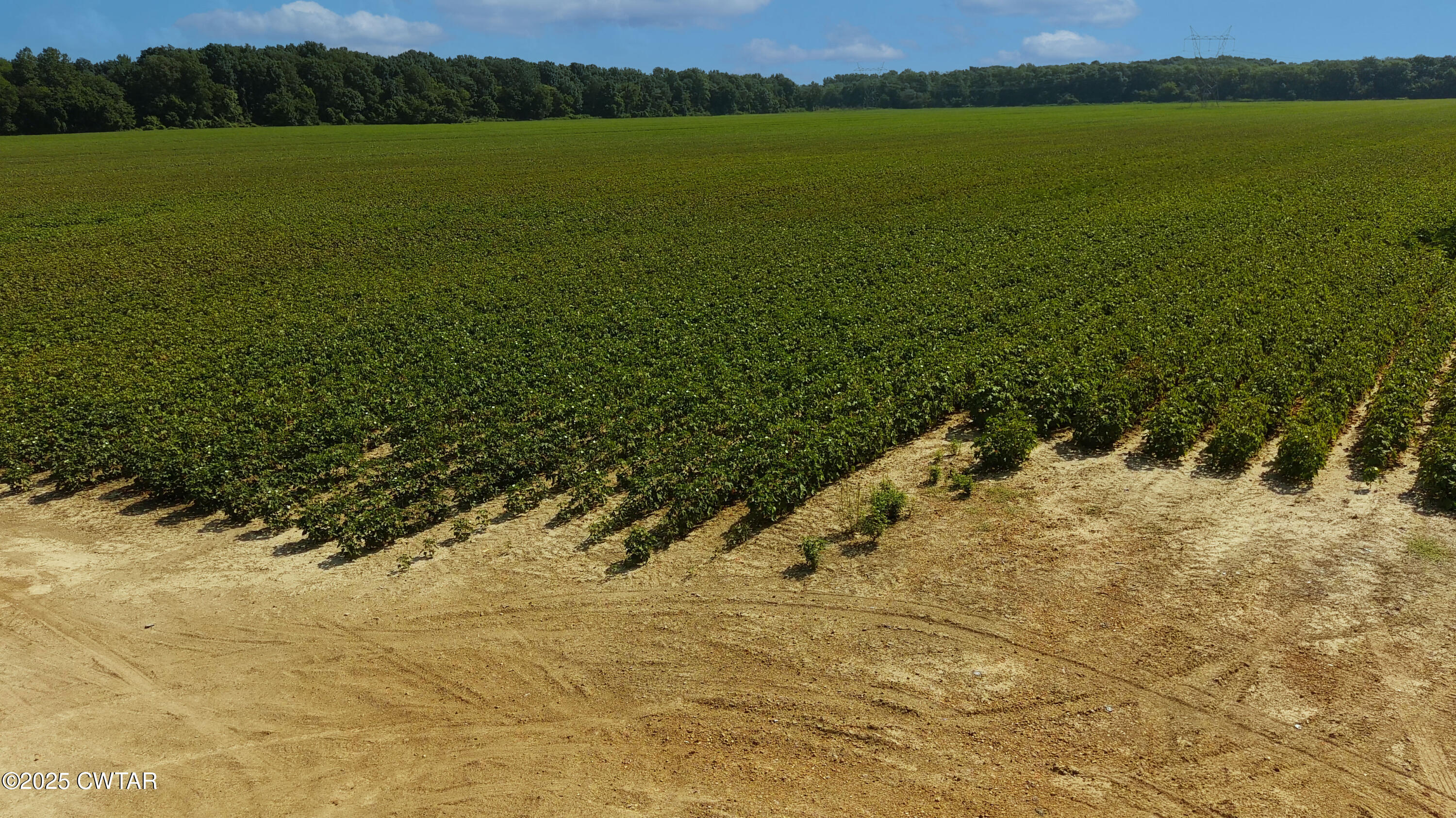 0 Clements Road Mason, TN 38049 - Photo 1 of 5 37