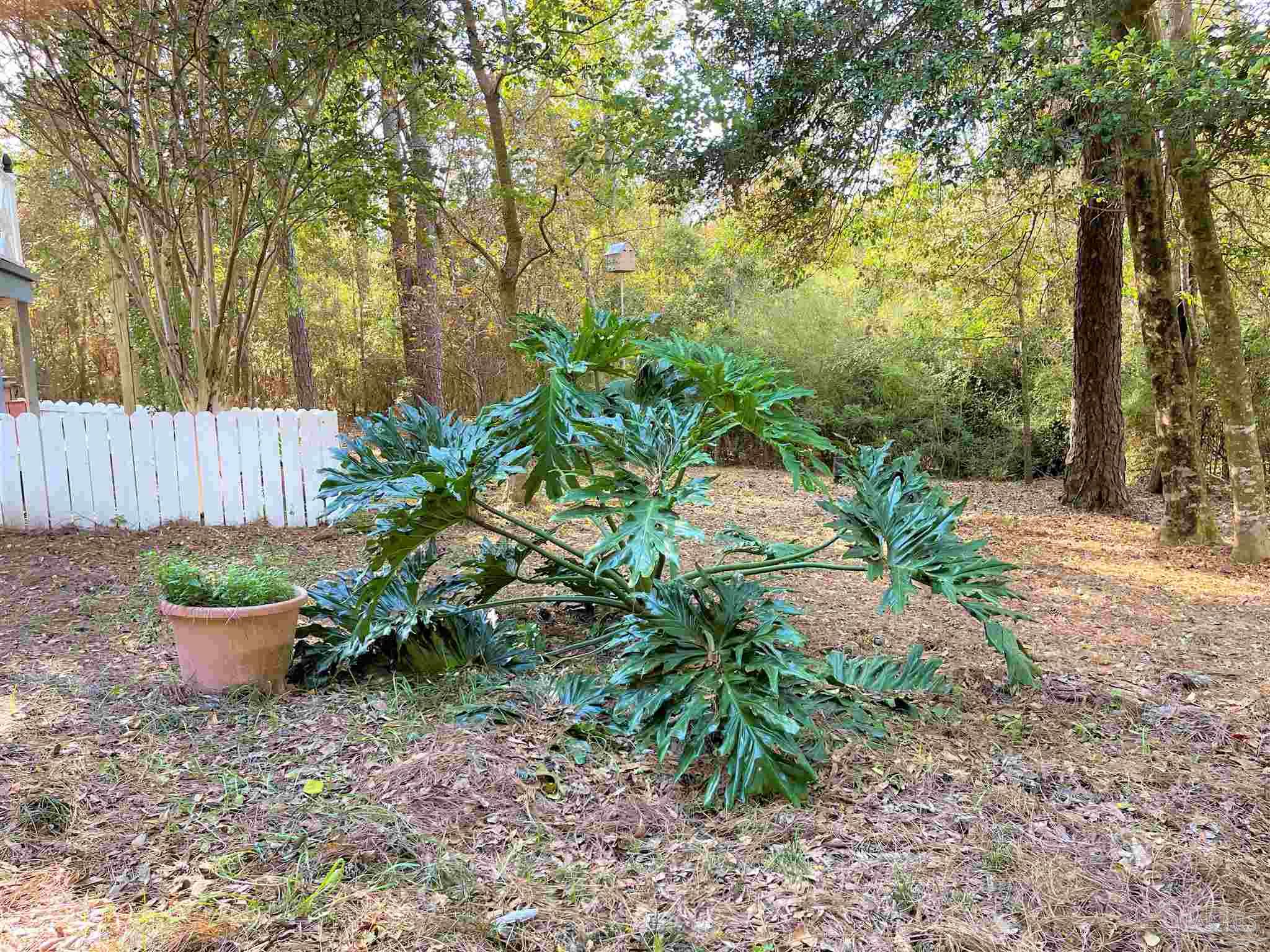 504 Brookwood Road Atmore, AL 36502 - Photo 15 of 50