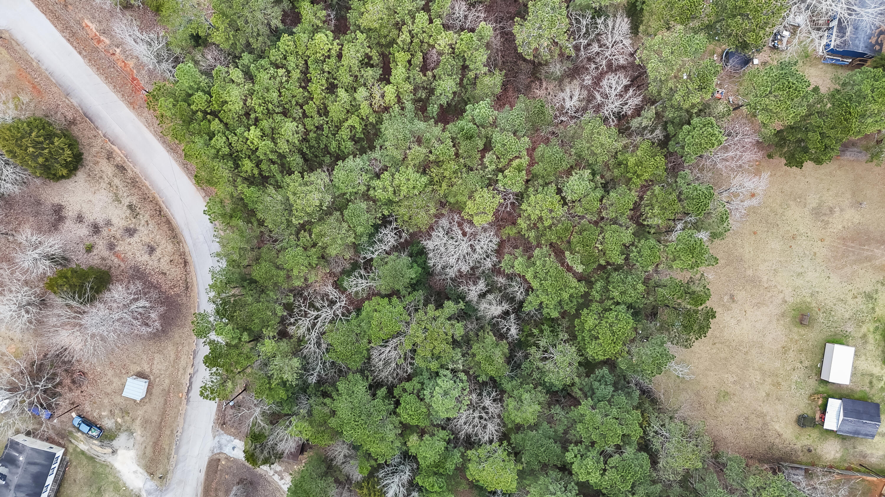 0 Twin Ponds Road Newberry, SC 29108 - Photo 4 of 19