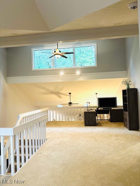 9071 Inverrary Warren, OH 44484 - Photo 24 of 35 Gallery Image 24