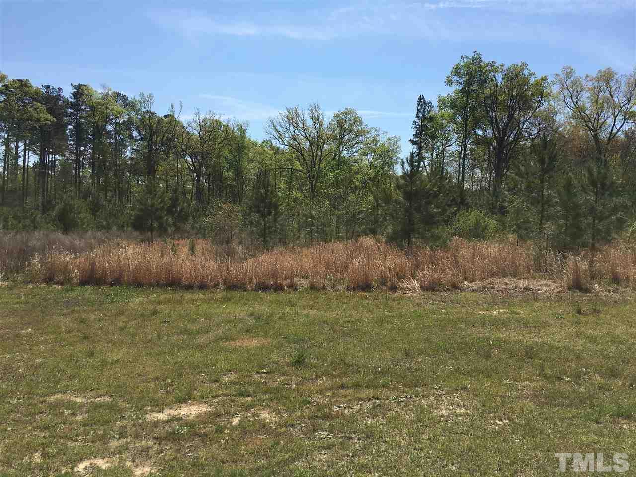 117 Goodwin Road Durham, NC 27712 - Photo 1 of 1 a view of a field with trees in the background