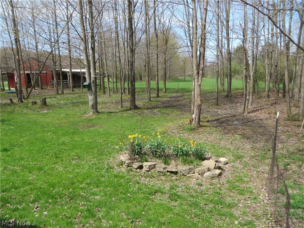 15335 Moseley Road Madison, OH 44057 - Photo 34 of 34 Gallery Image 34