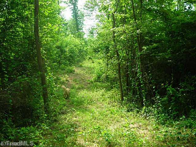 2794 Staleys Farm Road Asheboro, NC 27205 - Photo 15 of 16 Land. Path to Creek which is partly on 5+ acres