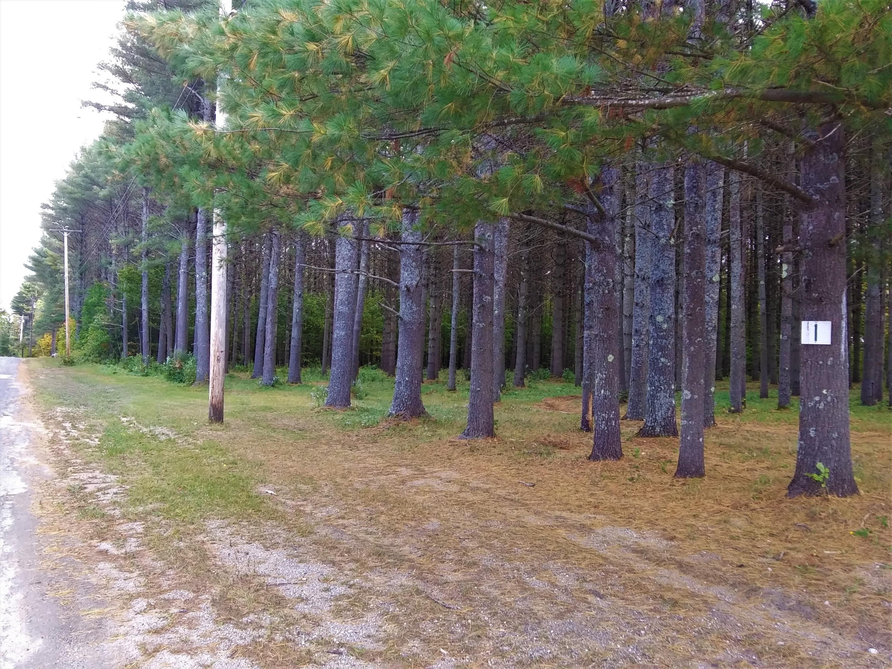 Lot 60 Barker Road Bethel, ME 04217 - Photo 2 of 4 view from corner marker