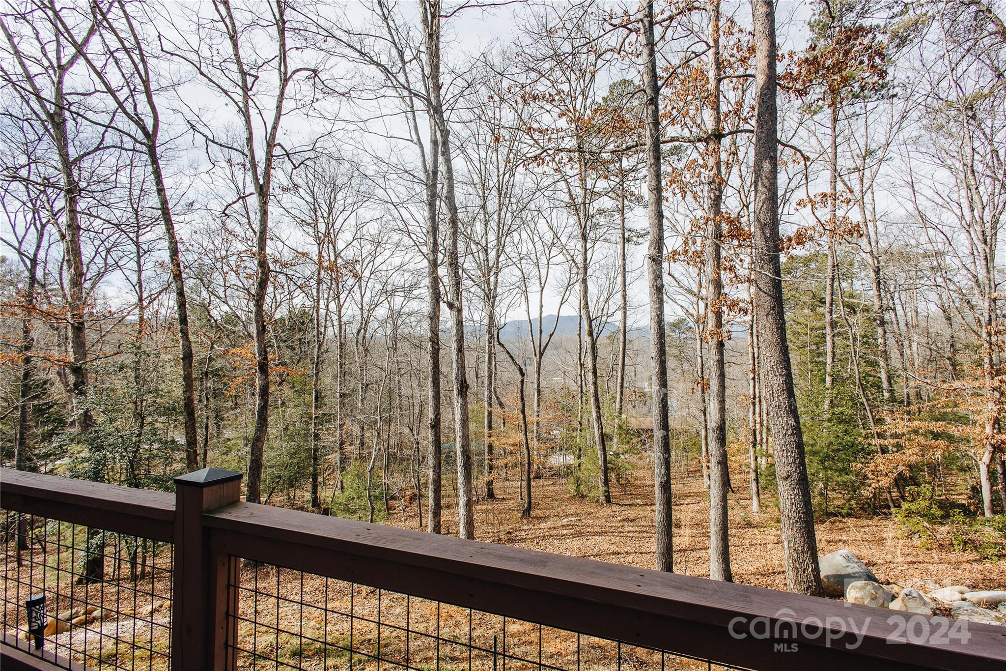 884 Dobsons Knob Loop Road Marion, NC 28752 - Photo 28 of 39 Gallery Image 28