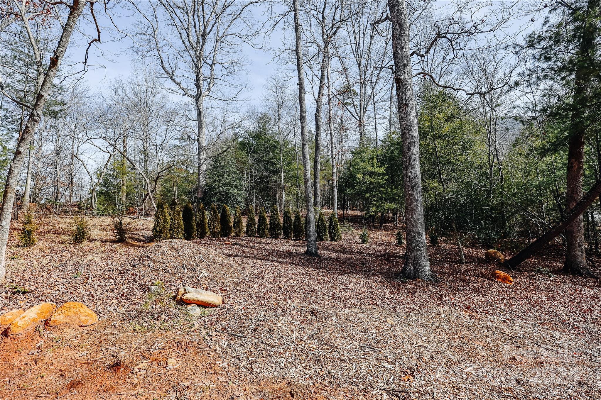 884 Dobsons Knob Loop Road Marion, NC 28752 - Photo 34 of 39 Gallery Image 34