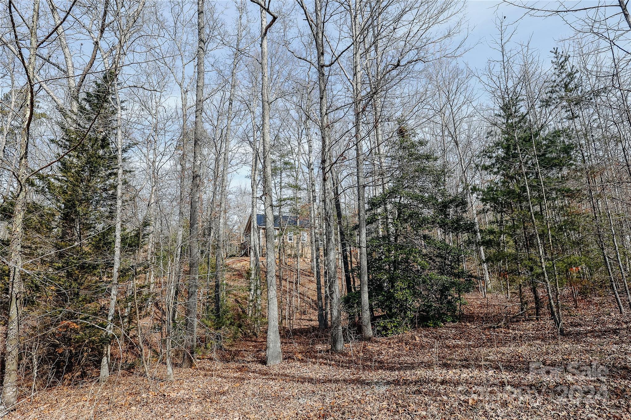 884 Dobsons Knob Loop Road Marion, NC 28752 - Photo 38 of 39 Gallery Image 38