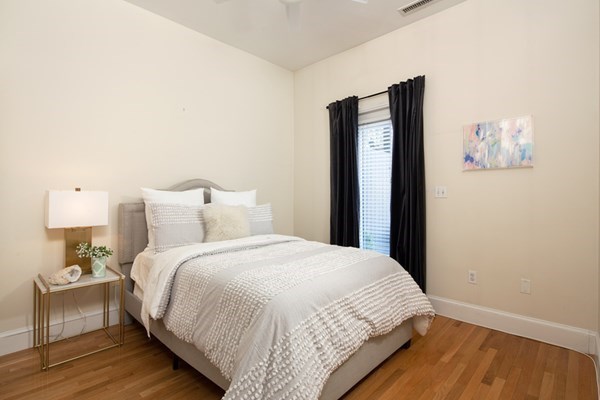 111 Appleton Street, Unit 2 Boston, MA 02116 - Photo 5 of 6 Gallery Image 5