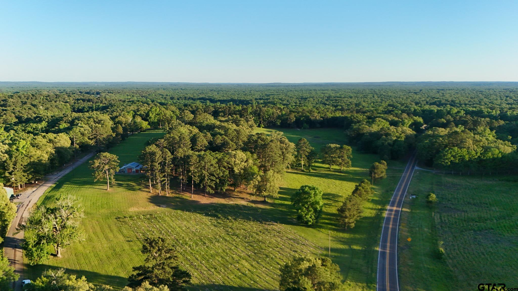 0 County Road 2680 Hawkins, TX 75765 - Photo 21 of 38