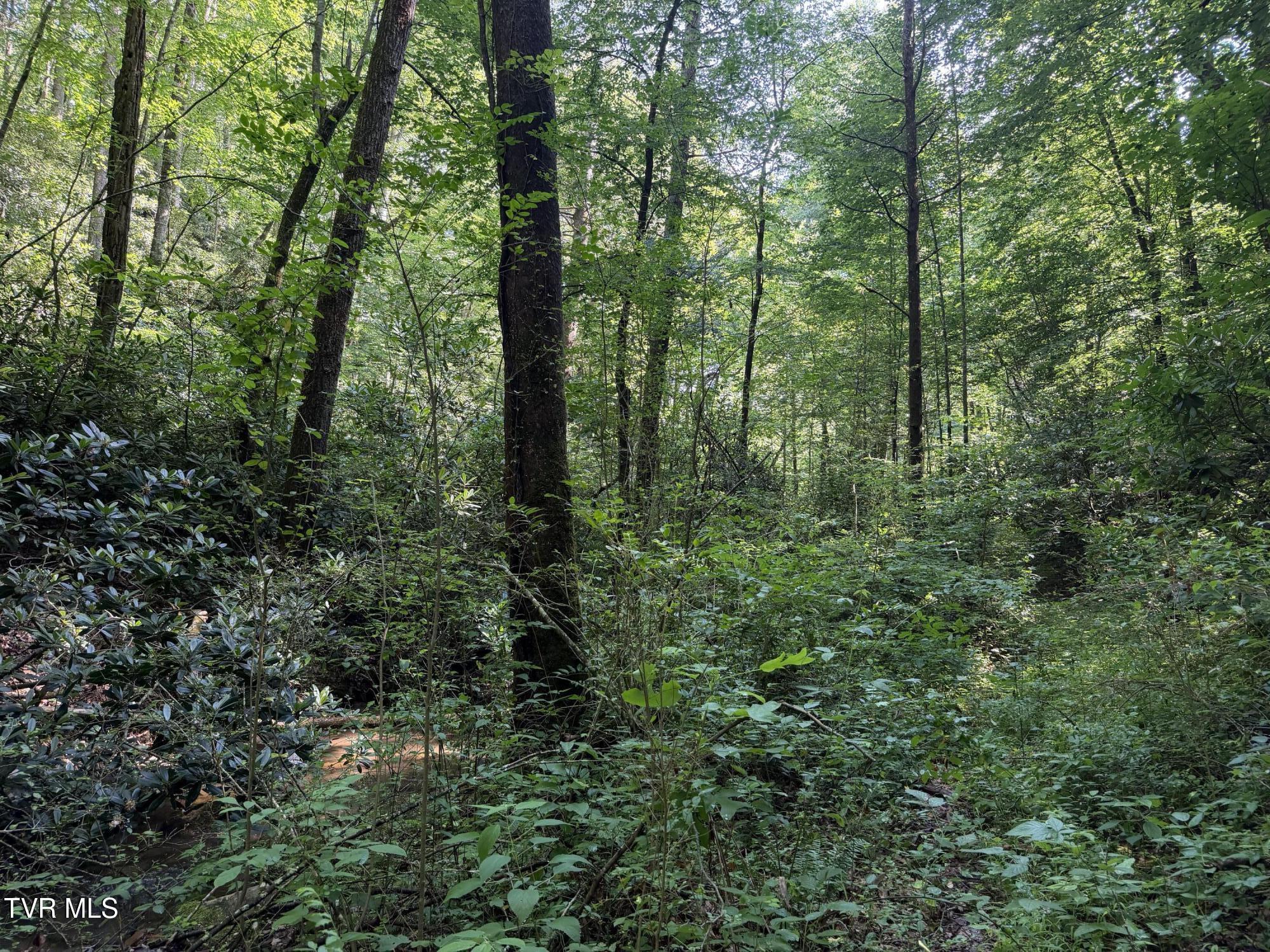 0 East Highway 25 70, Unit 9 Del Rio, TN 37727 - Photo 14 of 19 IMG_6575