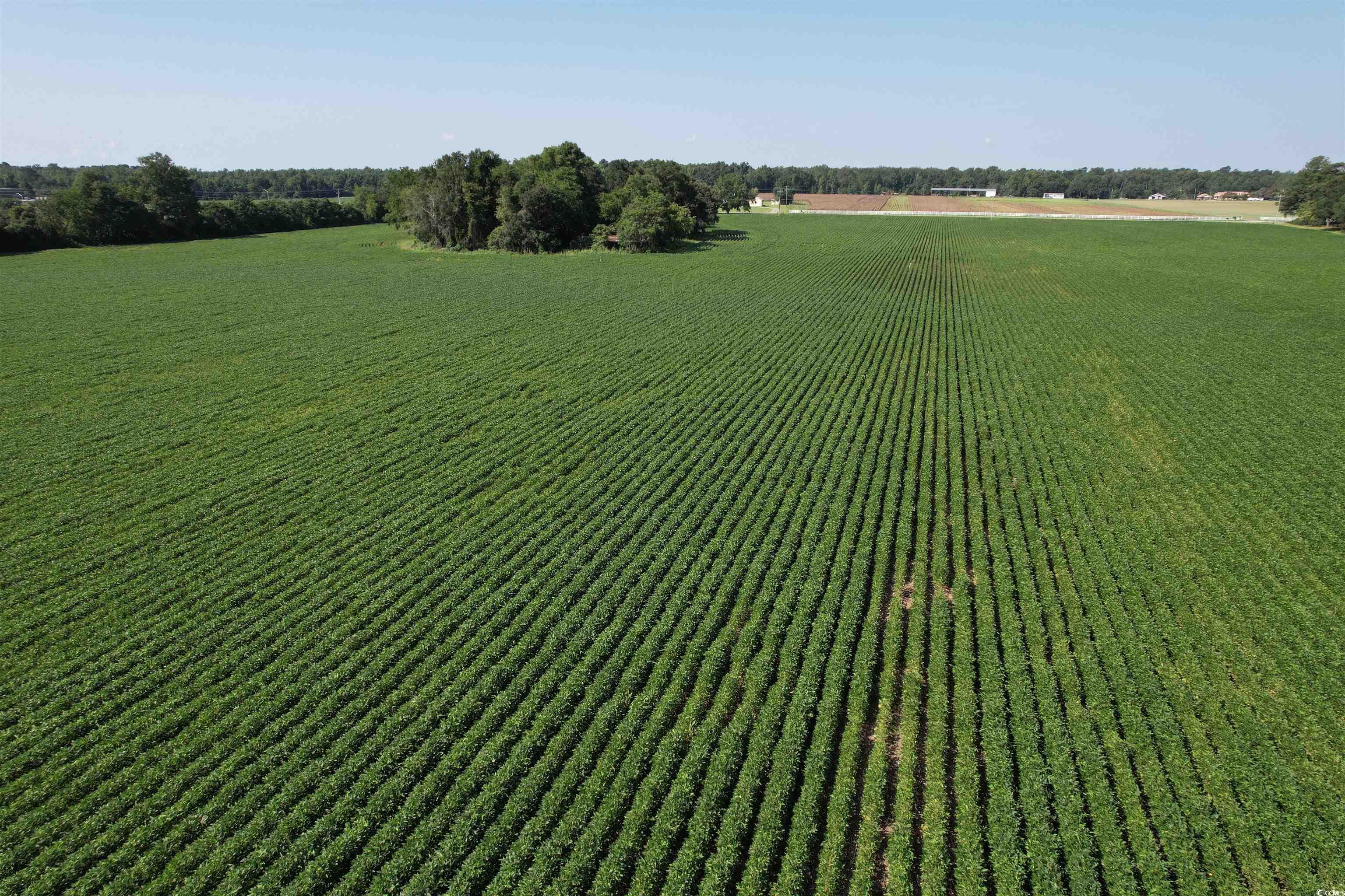 Tbd Sumter Highway Kingstree, SC 29556 - Photo 2 of 15