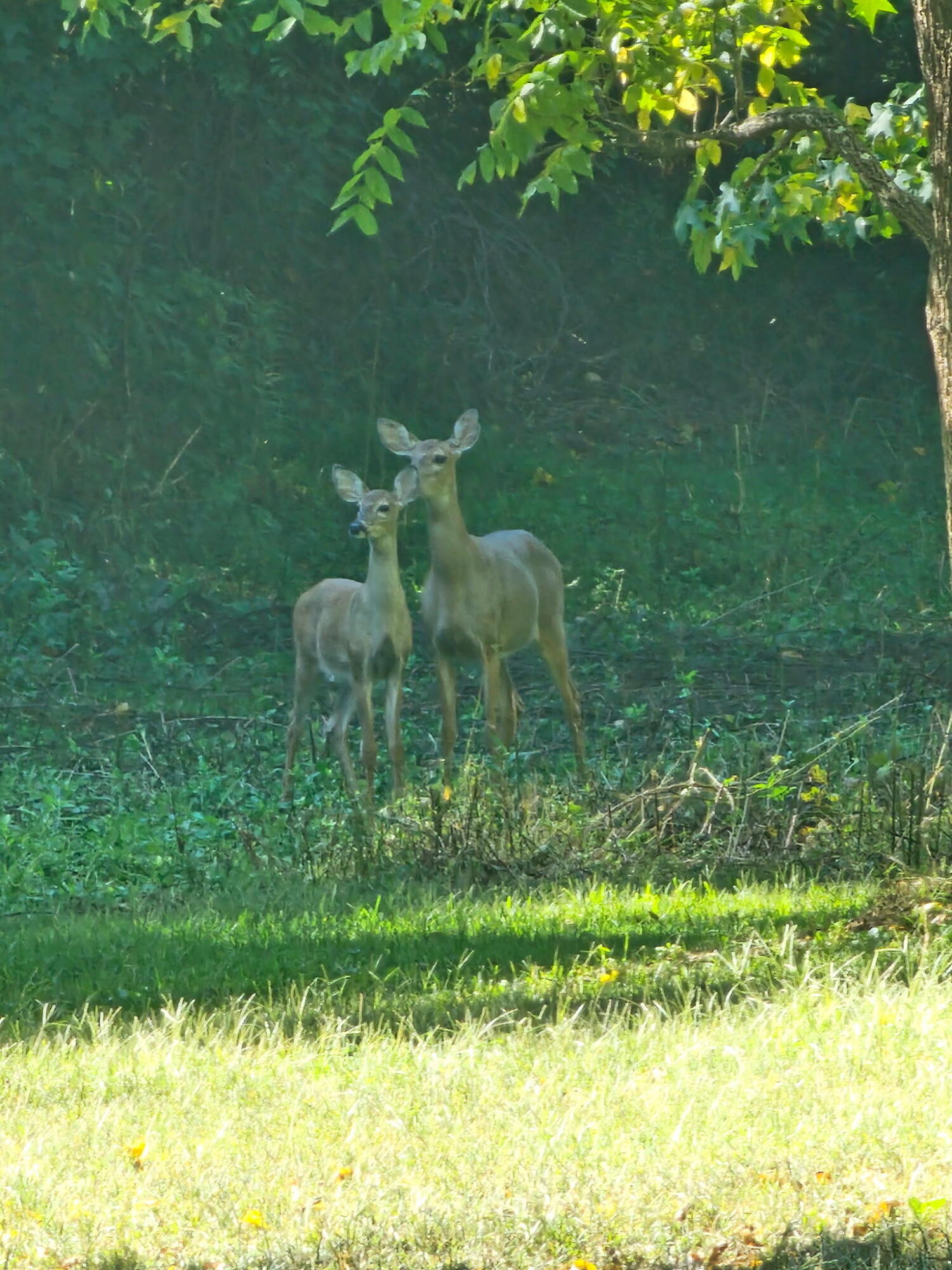 507 Nosco Road Junction City, KY 40440 - Photo 44 of 54 1000002579