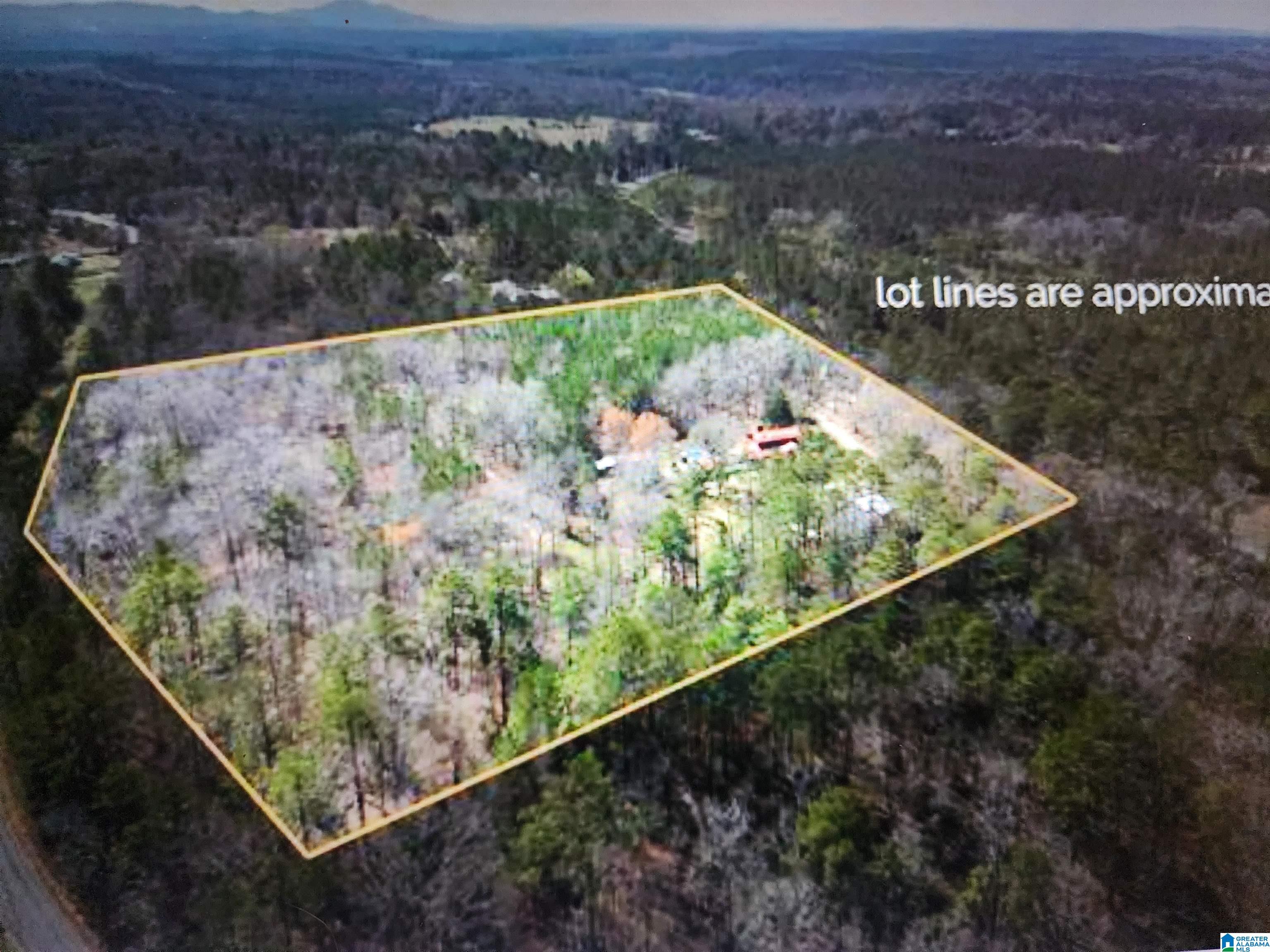 7350 Howells Cove Road Talladega, AL 35160 - Photo 76 of 78