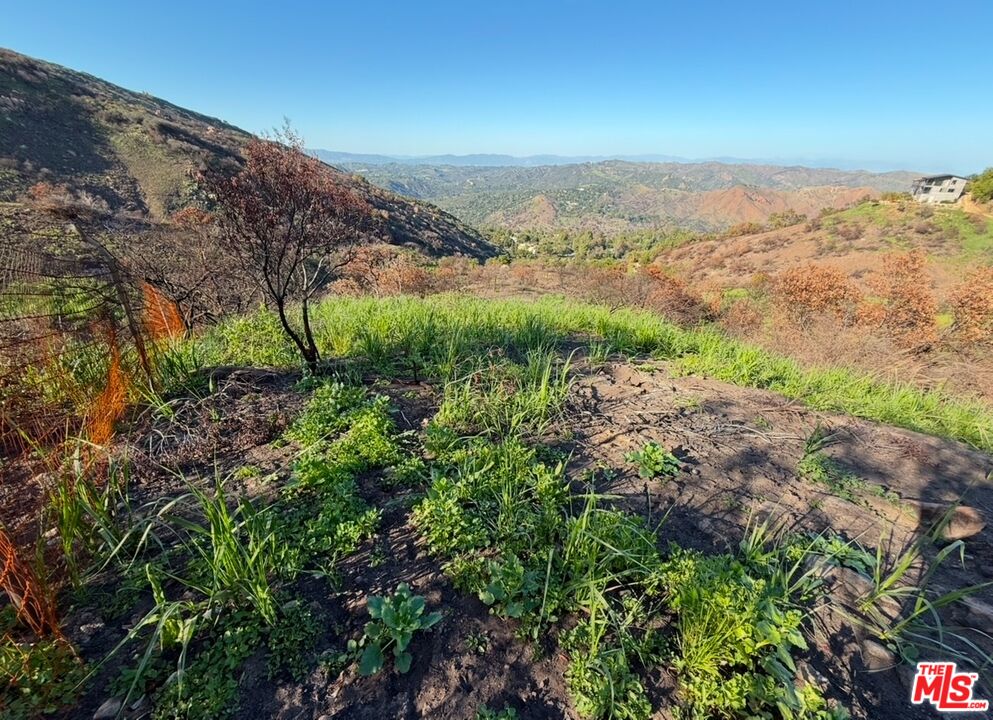 0 Fir Ridge Drive Topanga, CA 90290 - Photo 10 of 17