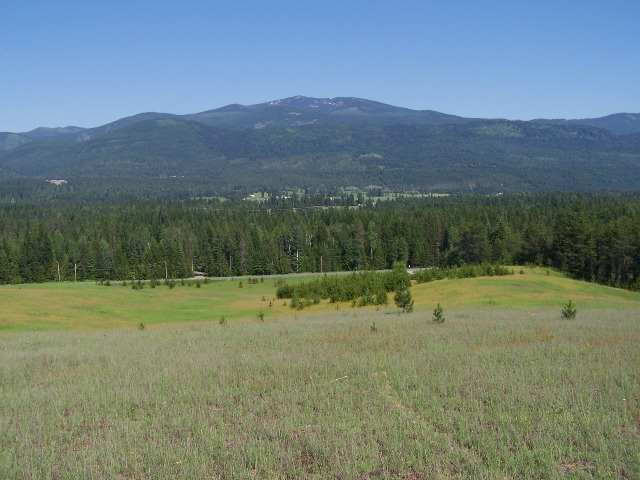 L-d Greenhouse Road Ione, WA 99139 - Photo 1 of 1