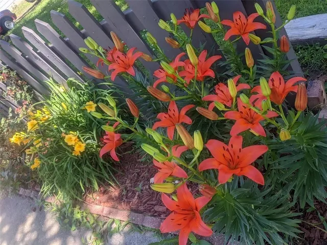 $229,000 | 612 West Cherry Street, Nevada, MO 64772