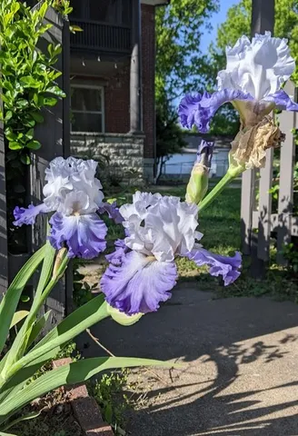 $229,000 | 612 West Cherry Street, Nevada, MO 64772