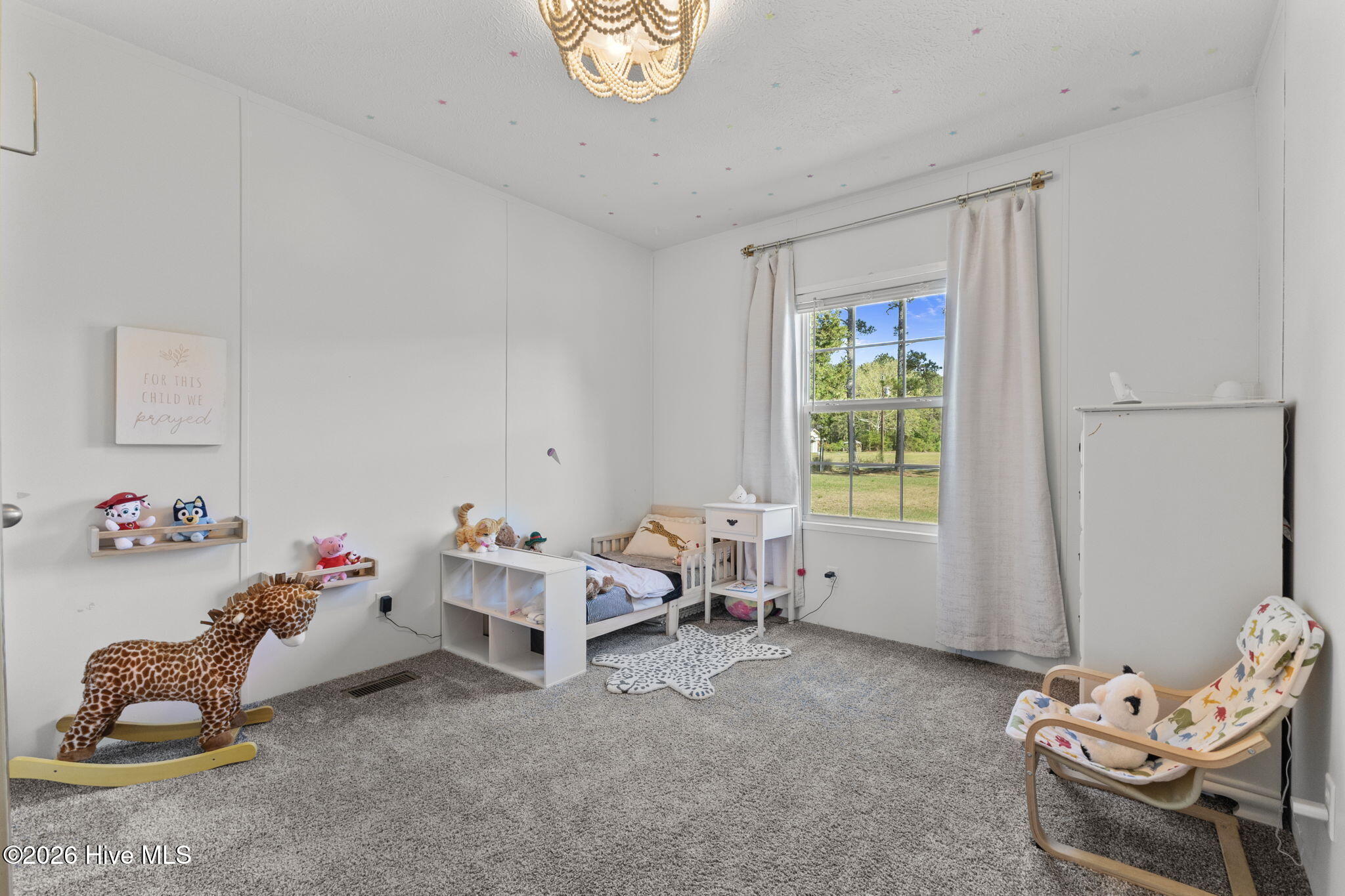 7150 Faircloth Bridge Road Stedman, NC 28391 - Photo 25 of 44 13-web-or-mls-AZ3A7480