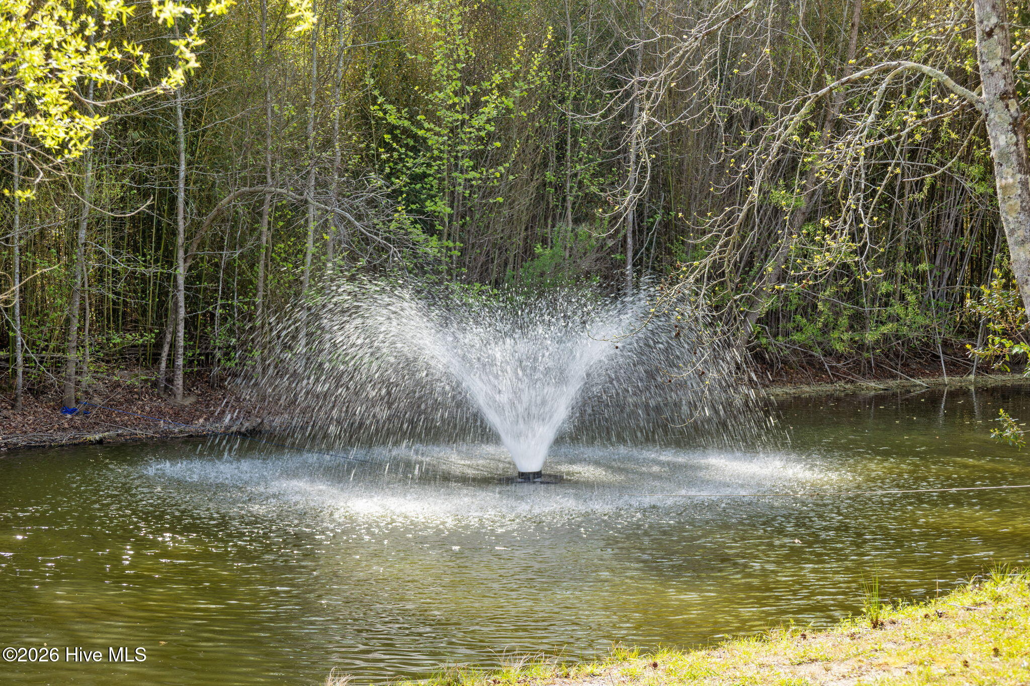 7150 Faircloth Bridge Road Stedman, NC 28391 - Photo 5 of 44 42-web-or-mls-AZ3A7544