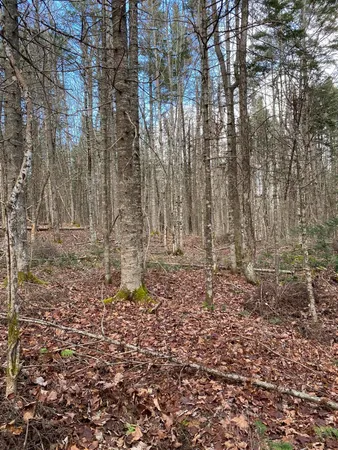 $250,000 | Lot 023 Pleasant Ridge Road, Dexter, ME 04930