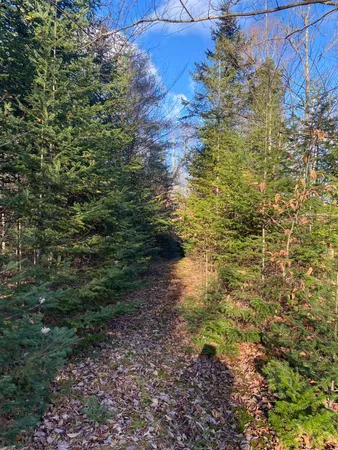 $250,000 | Lot 023 Pleasant Ridge Road, Dexter, ME 04930
