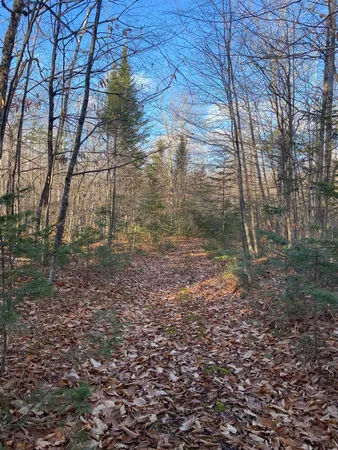 $250,000 | Lot 023 Pleasant Ridge Road, Dexter, ME 04930