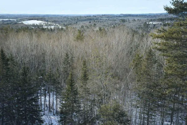 $250,000 | Lot 023 Pleasant Ridge Road, Dexter, ME 04930