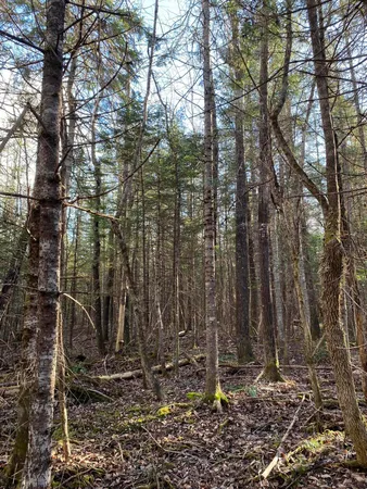 $250,000 | Lot 023 Pleasant Ridge Road, Dexter, ME 04930