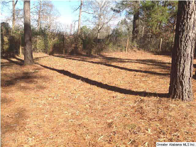 289 County Road 428 Fruithurst, AL 36262 - Photo 11 of 14