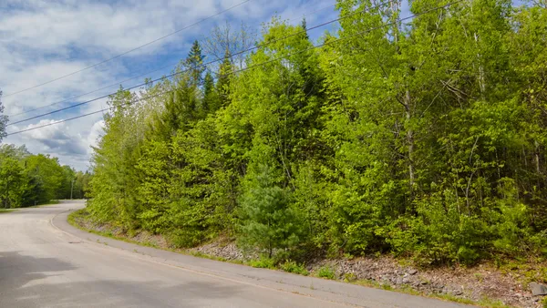 $59,900 | Lot 14 Grant Road, Orono, ME 04473