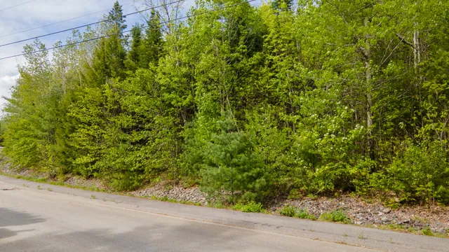 $59,900 | Lot 14 Grant Road, Orono, ME 04473