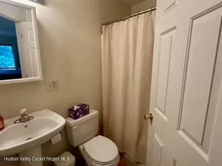 a bathroom with a sink and a toilet