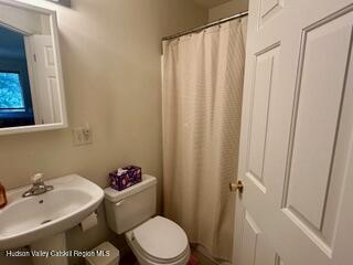 274 Brooksburgh Road, Unit 48 Hensonville, NY 12439 - Photo 13 of 30 a bathroom with a sink and a toilet