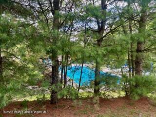 274 Brooksburgh Road, Unit 48 Hensonville, NY 12439 - Photo 25 of 30 a backyard of a house with lots of green space