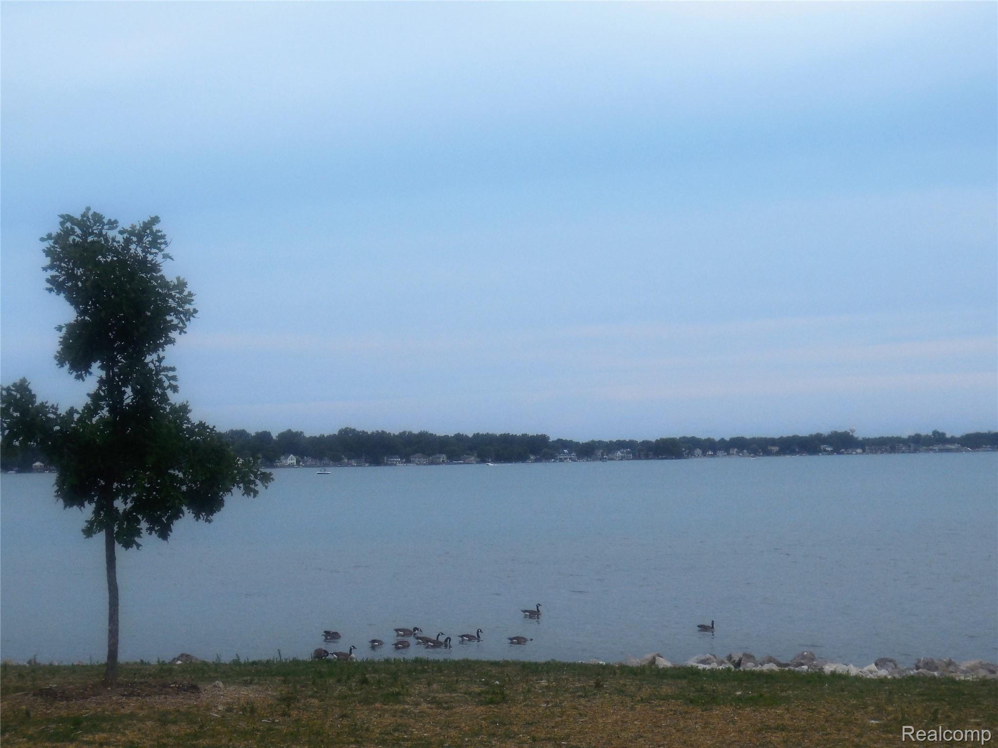 117 Rexton Street Novi, MI 48377 - Photo 62 of 66 A view from Lakeshore Park
