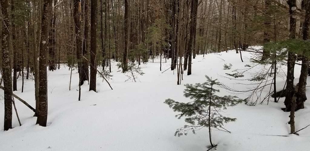 Tbd Campbell Road Harmony, ME 04942 - Photo 8 of 14 Lot