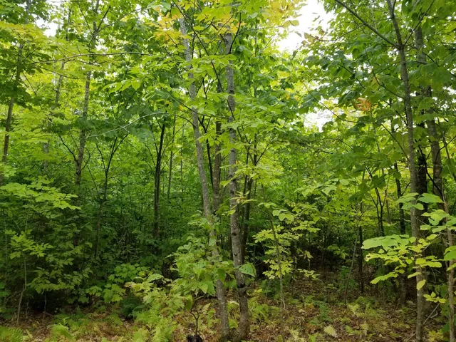 $109,900 | 0 Beaver Lane, Linneus, ME 04730