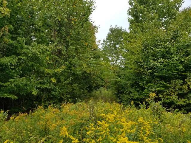 $109,900 | 0 Beaver Lane, Linneus, ME 04730