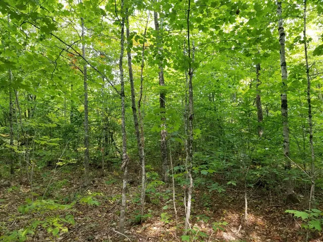 $109,900 | 0 Beaver Lane, Linneus, ME 04730